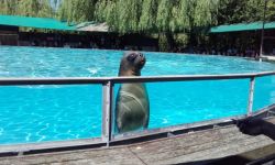 Classe Decouverte   087